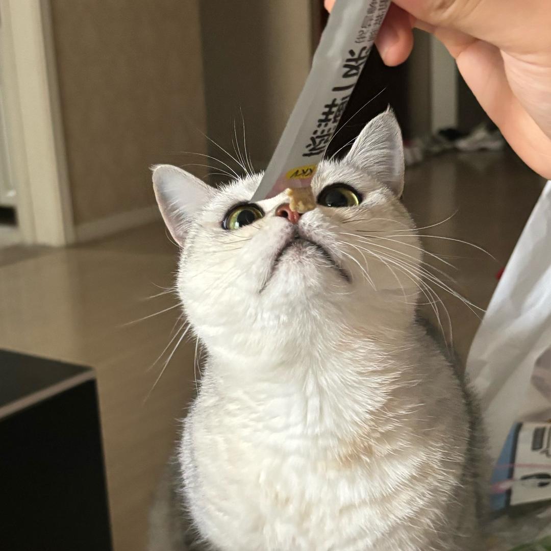 葡萄