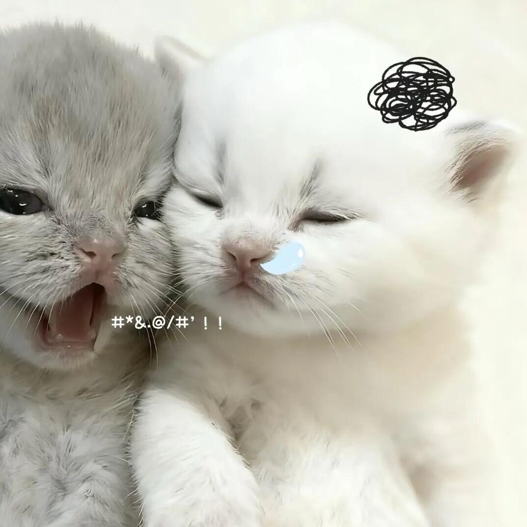 石页