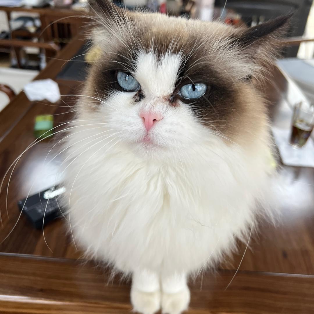 爱分享的小天使