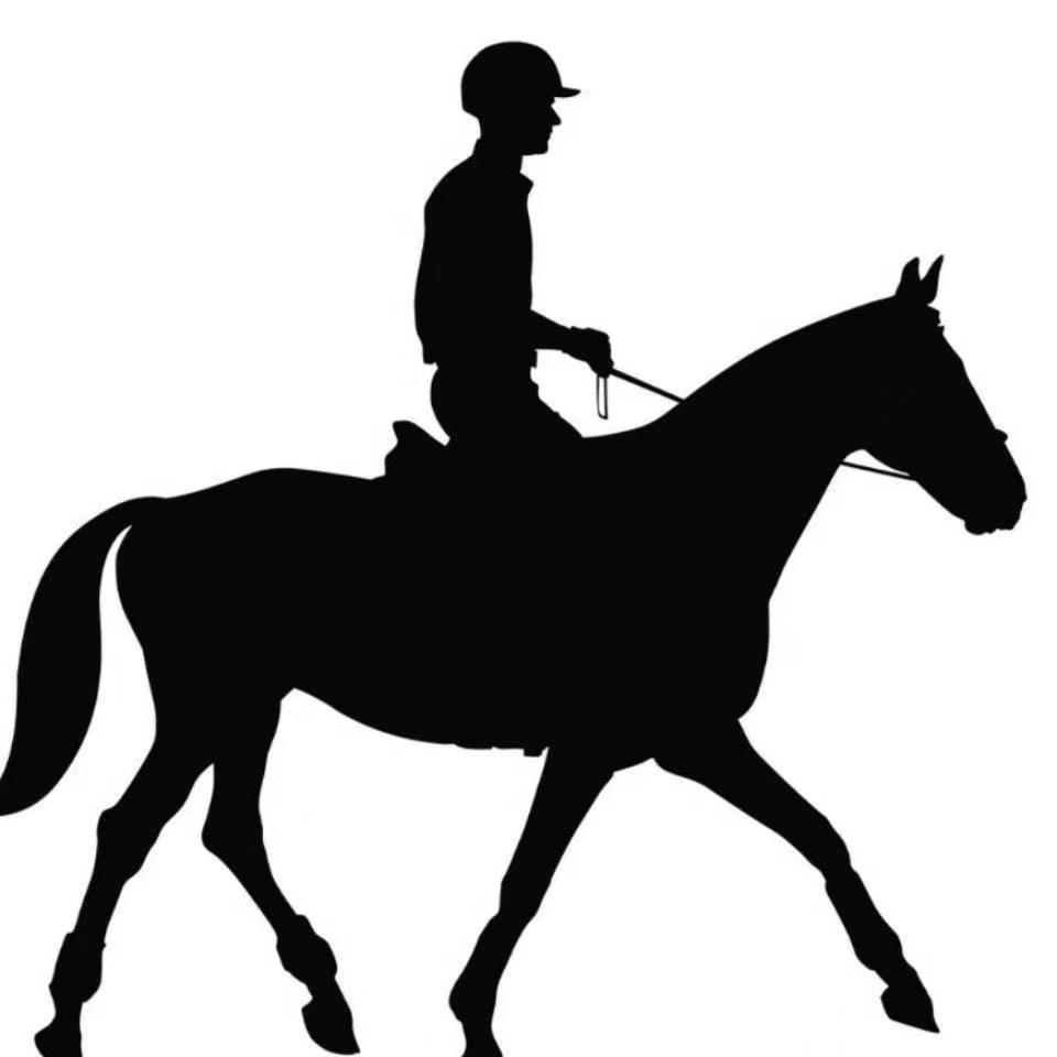 骑士人生🎩🕶️🧢