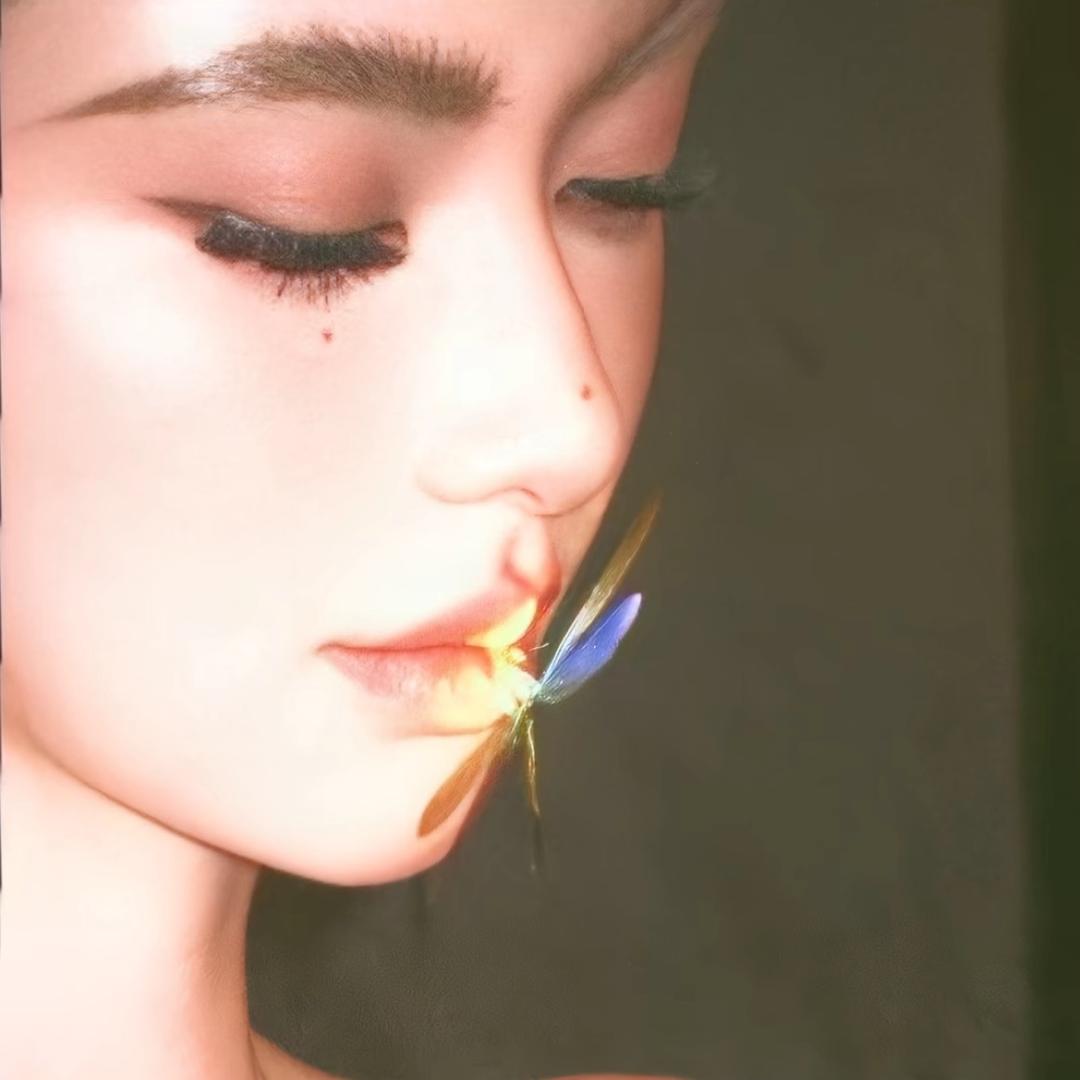 Tt·🐯