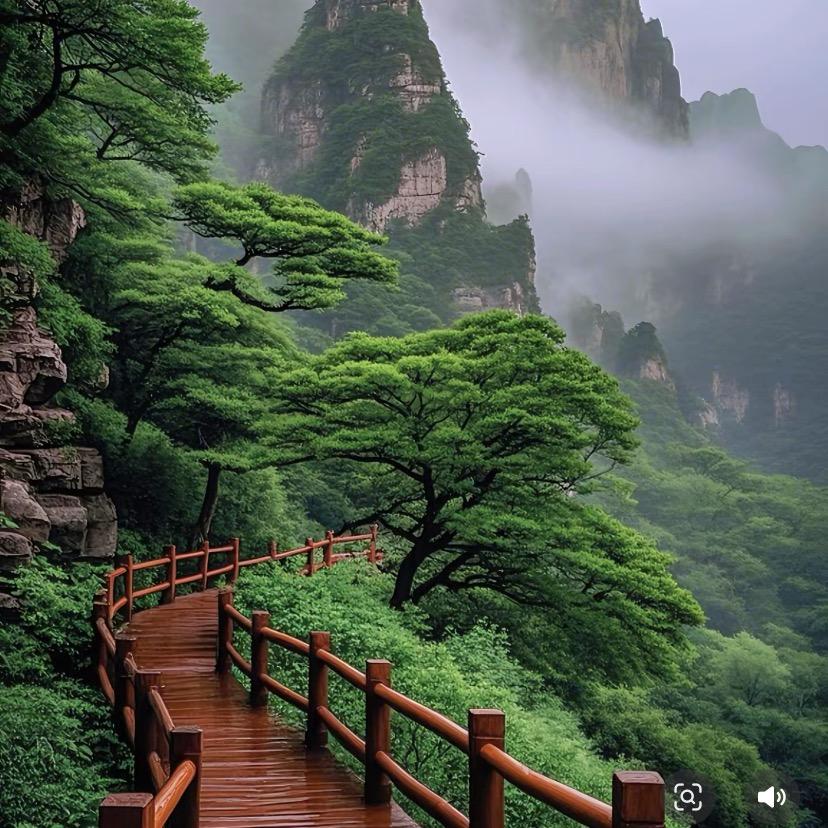 南枫北