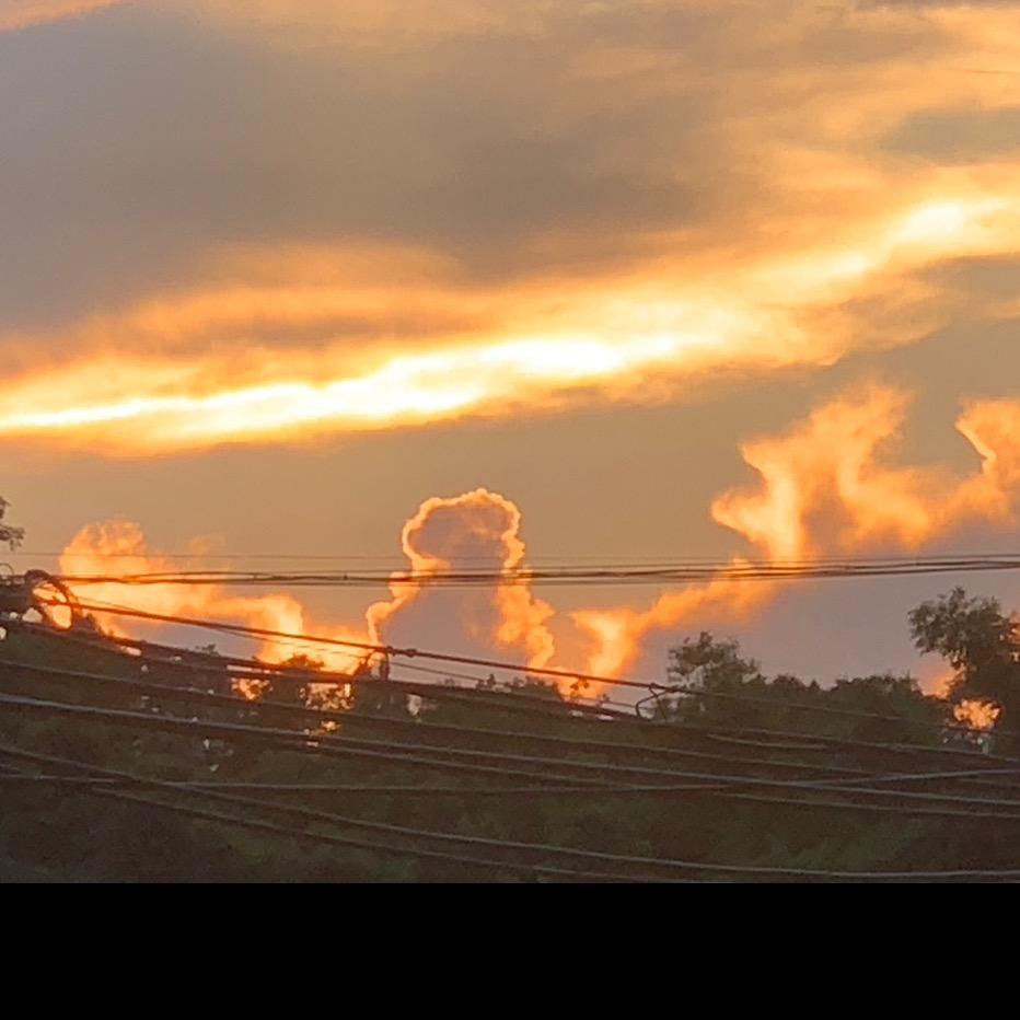 方可查看鬼畜可还行