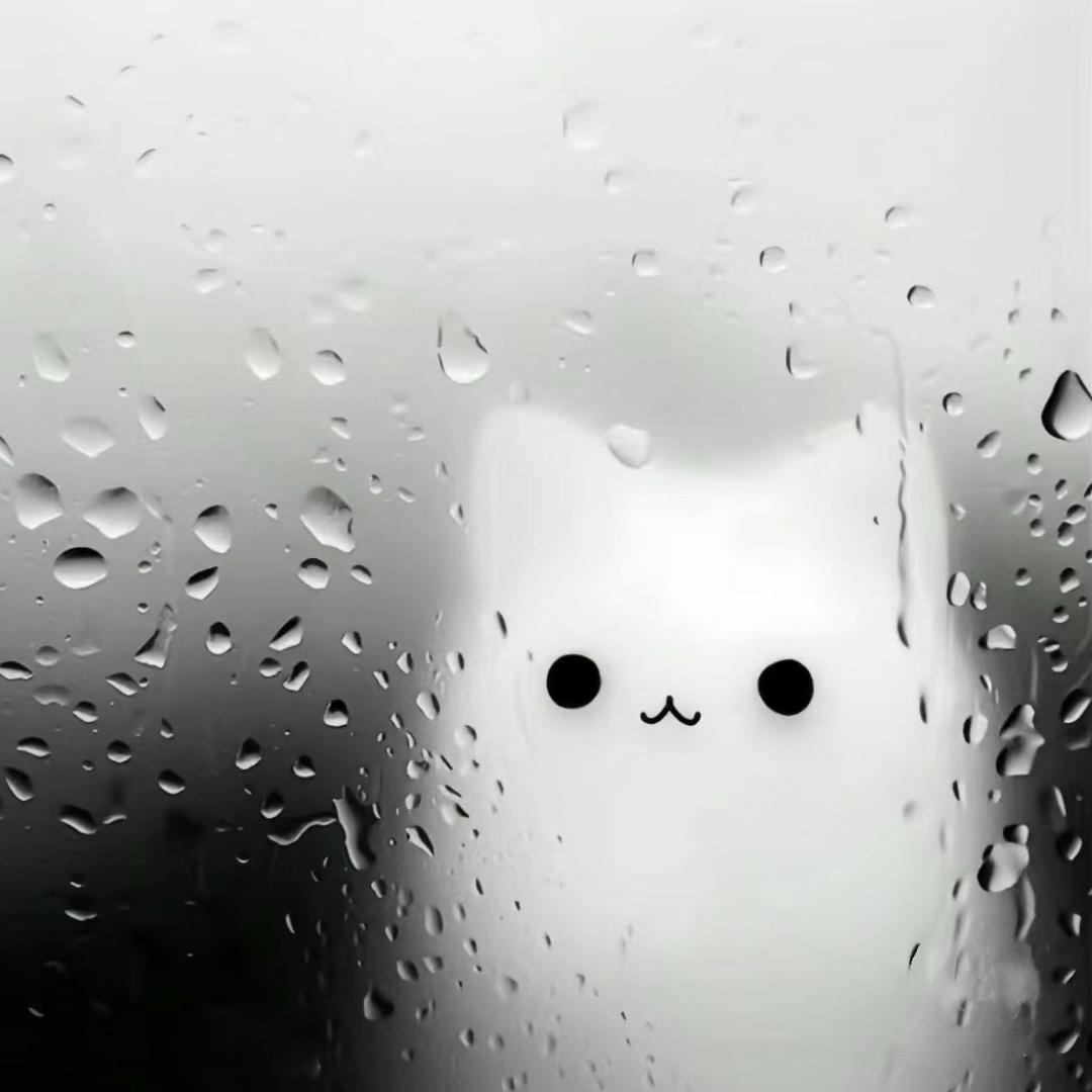 Hikot