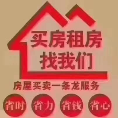 赵志波