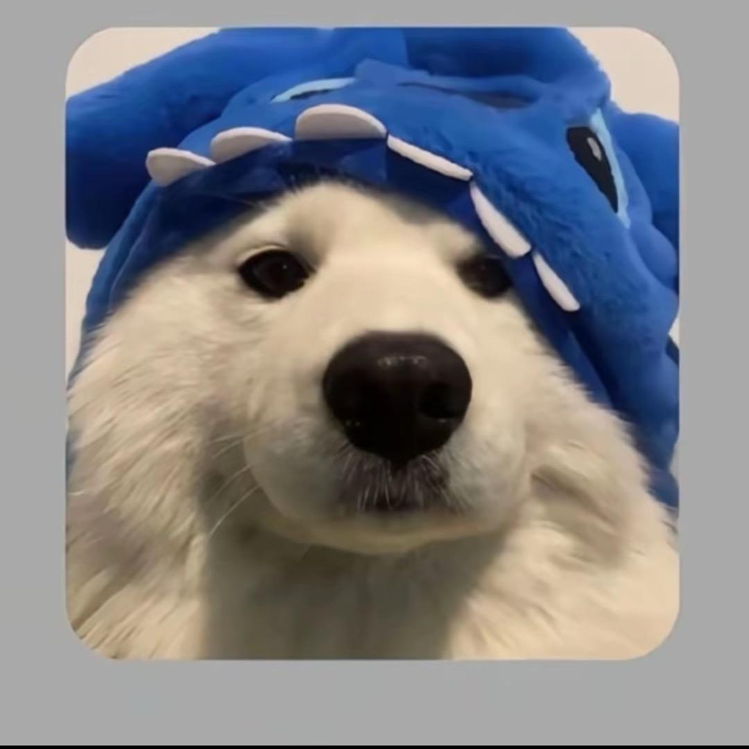 亳饰整装设计-小凯