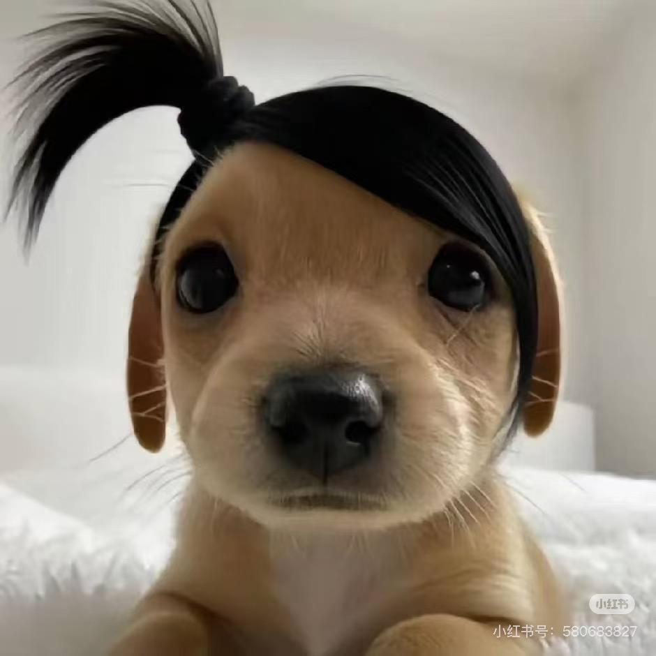 溜溜盐