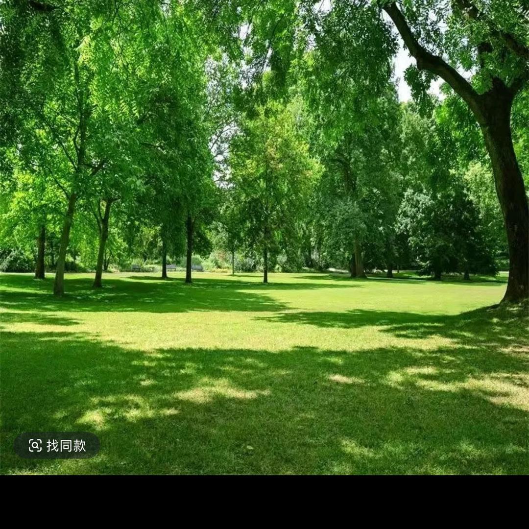 时光里的暖阳