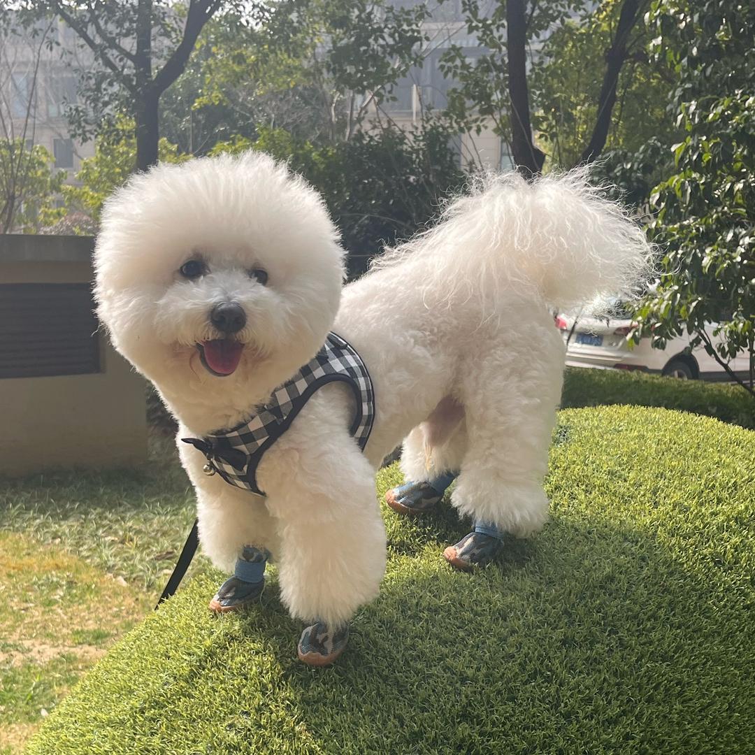 岁月静好