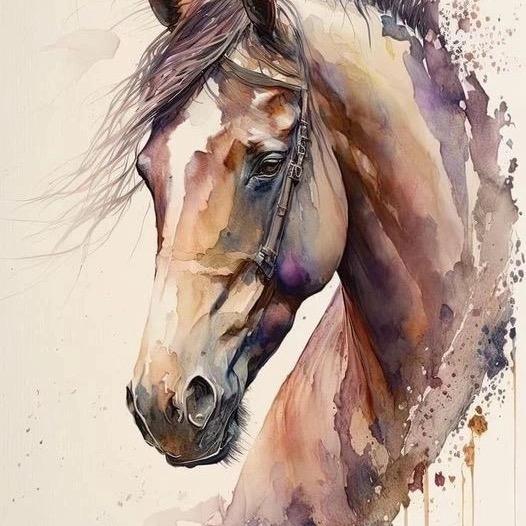 固原马场97年创业青年🐴