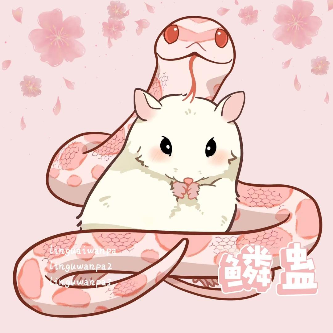 鳞蛊工作室🐍