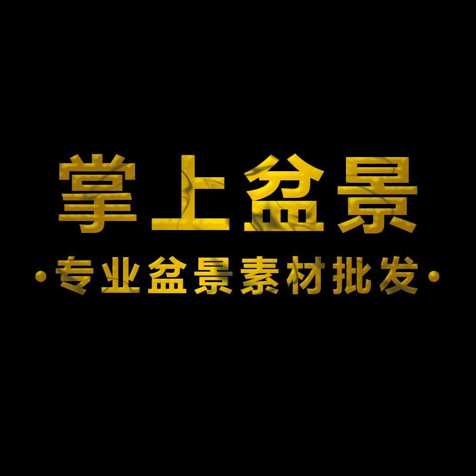 掌上盆景盆栽