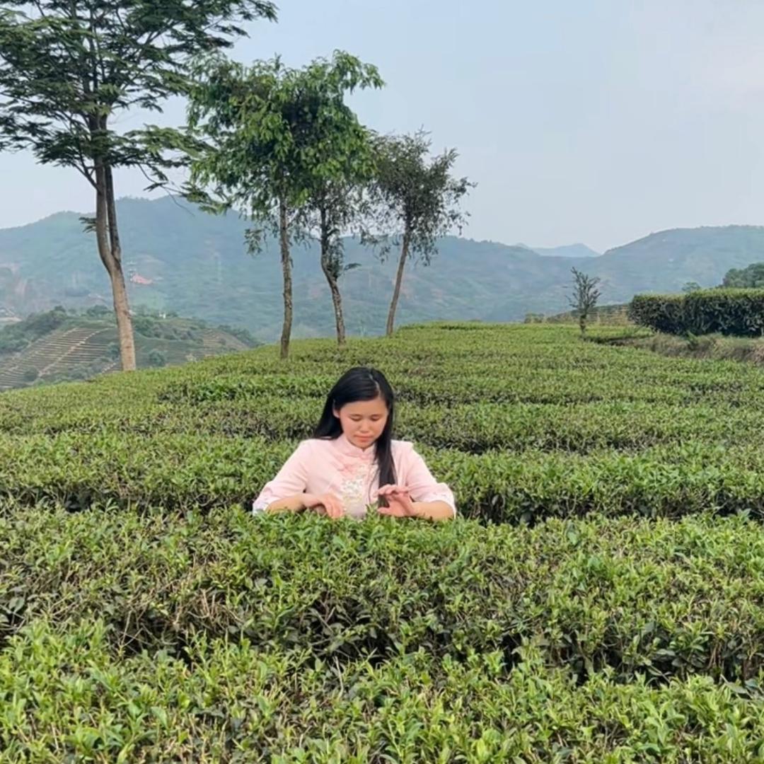 御凡茶叶