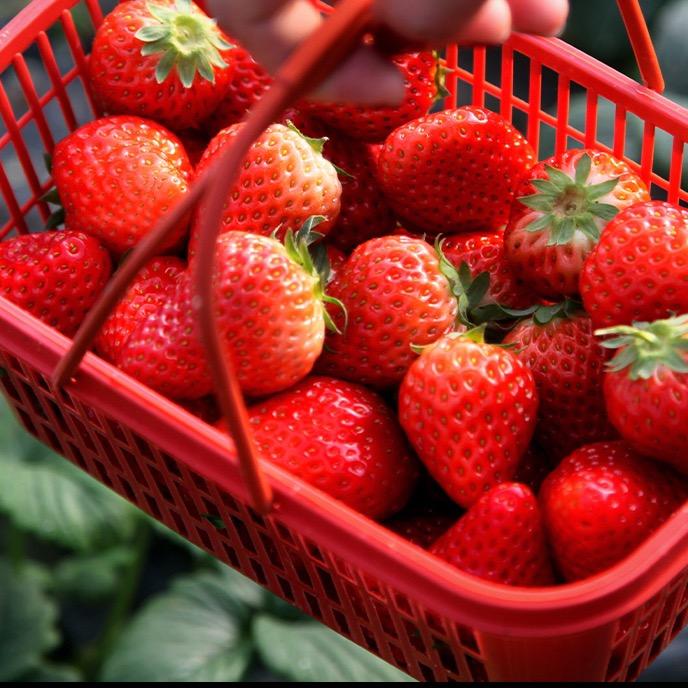 多尔喜农产品中心