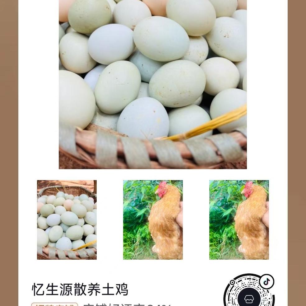 忆生源散养土鸡