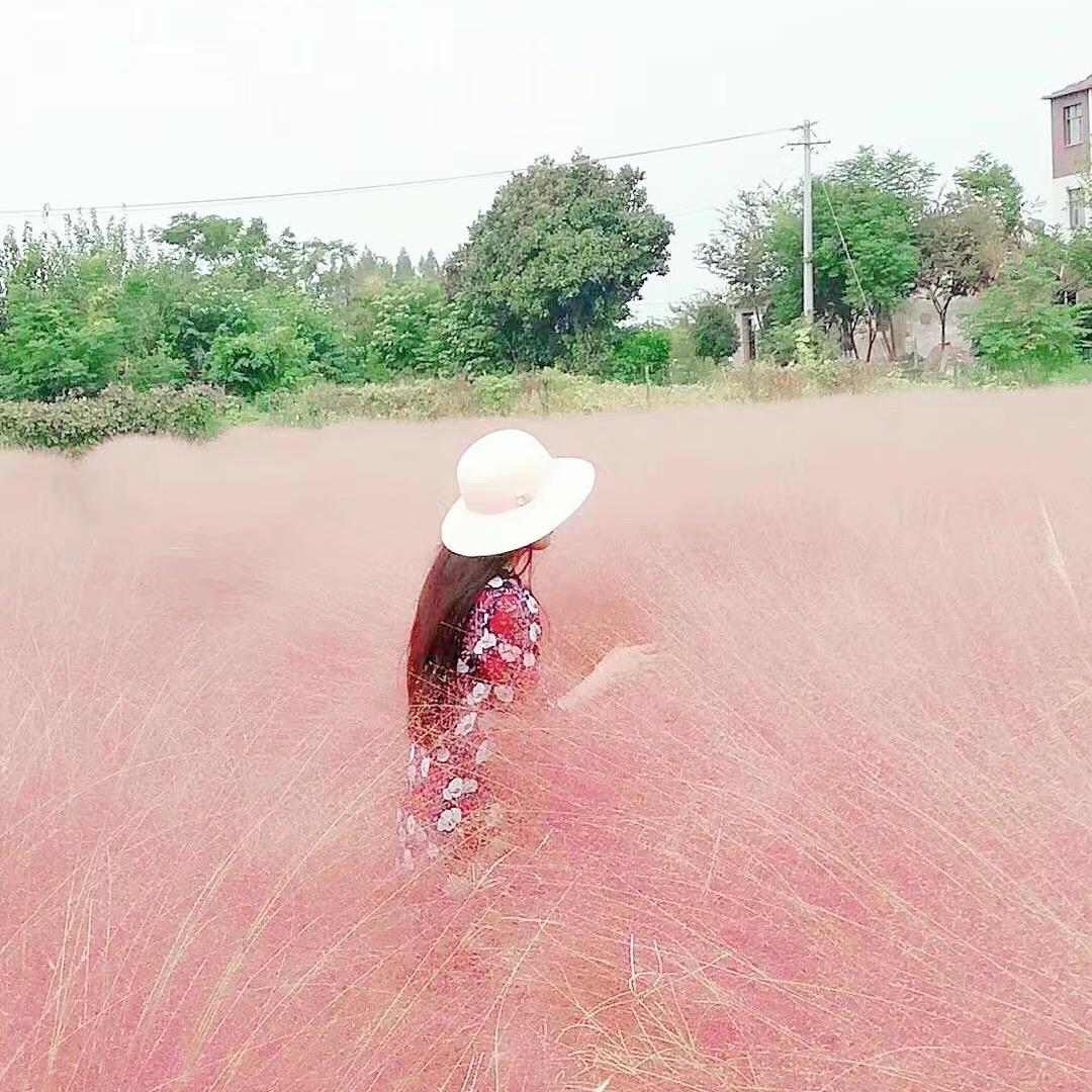 袅袅婷婷