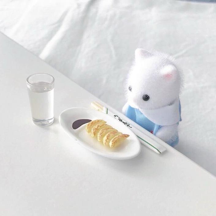 Cola打卡