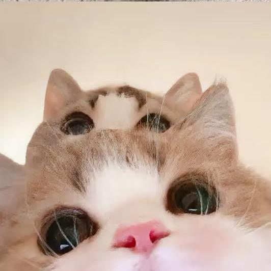 KKKK