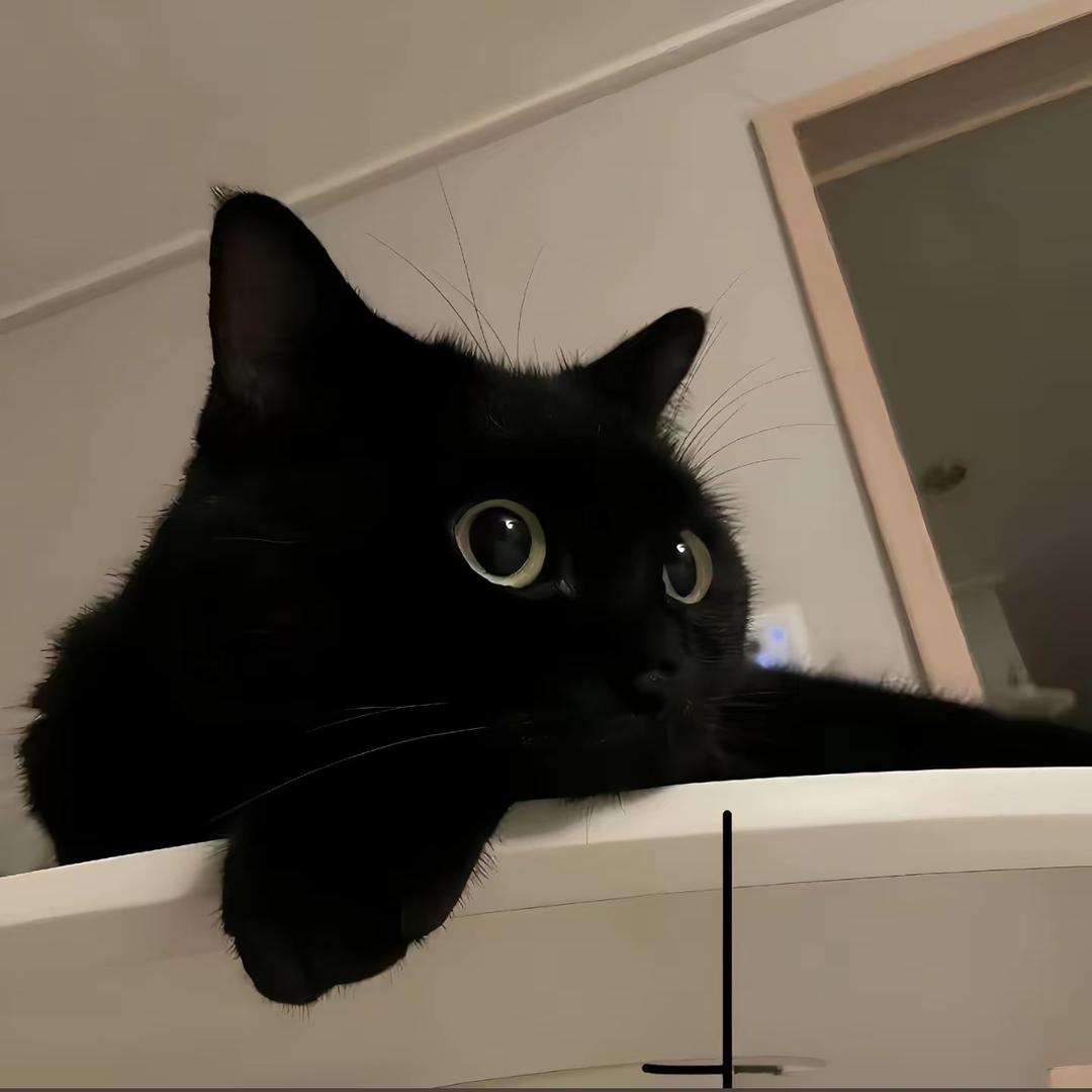 冻