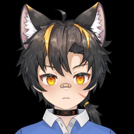陆琛小攻猫（无私信）