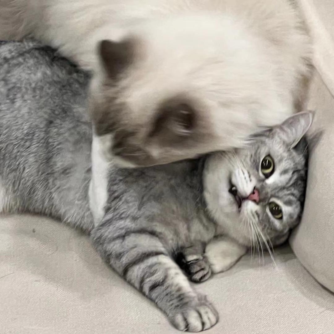 海安蓝鲸摄影工作室📷