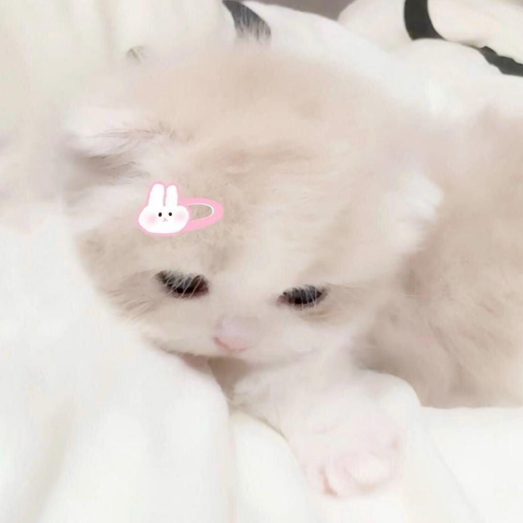 无心岛