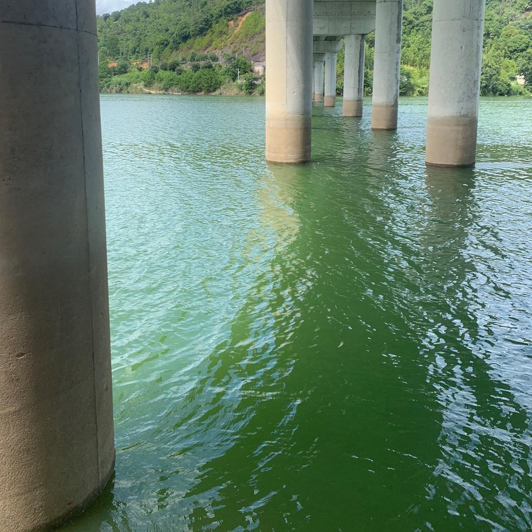 钓鱼中