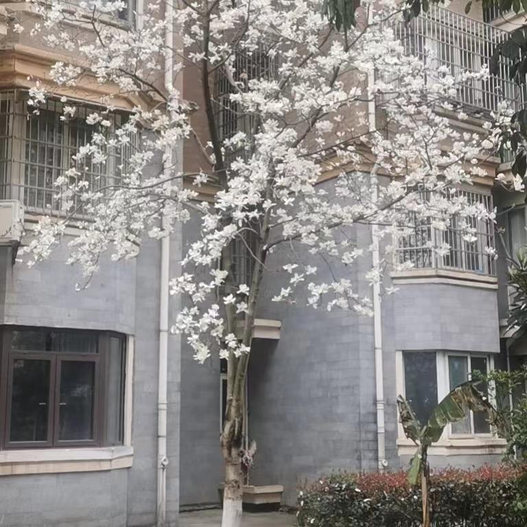 潇湘银城传奇