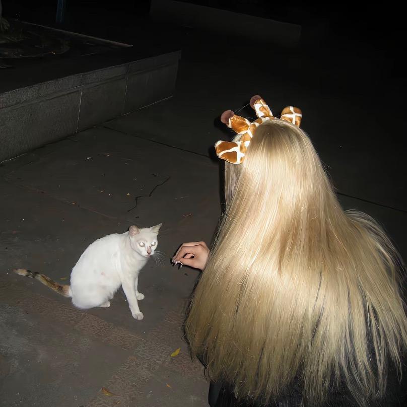 和人类联机好累