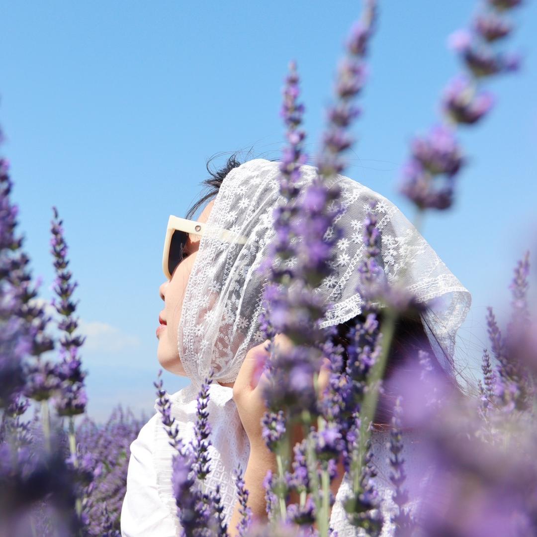 不想掉头发的小杨🐑