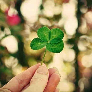 宛若晴空🍀