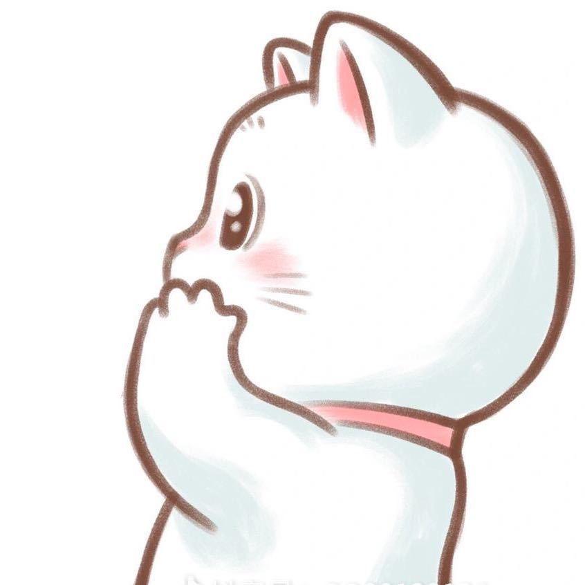 一只猫