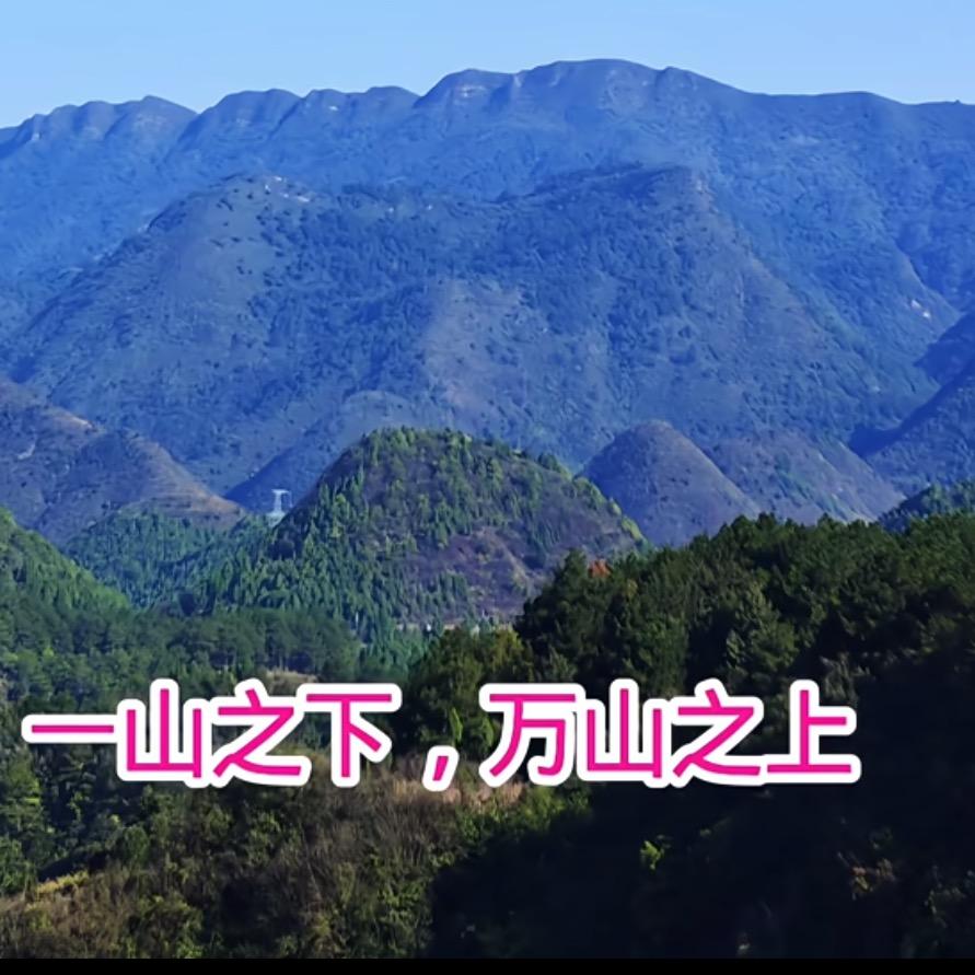 珍姐🛰️看世界
