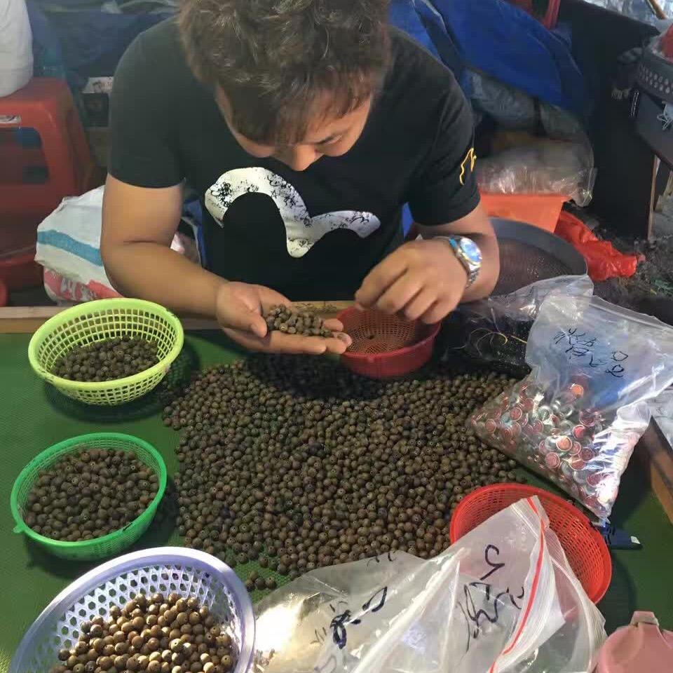 🌈北京宝来🌈