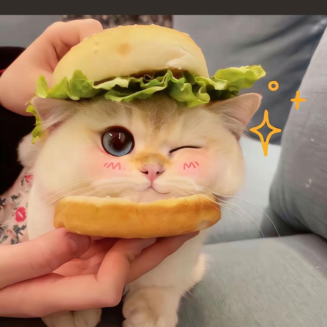 哦哈哟嘿
