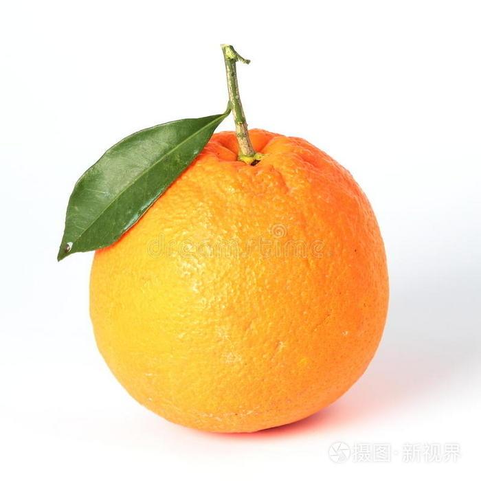 bgjxy