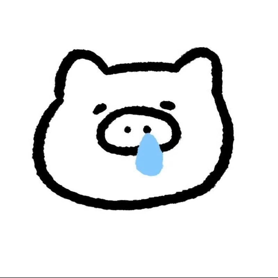 一只猪.