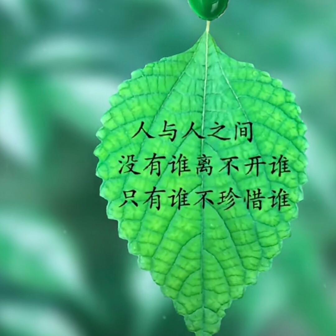 🍃一叶知秋🍃1971🐷