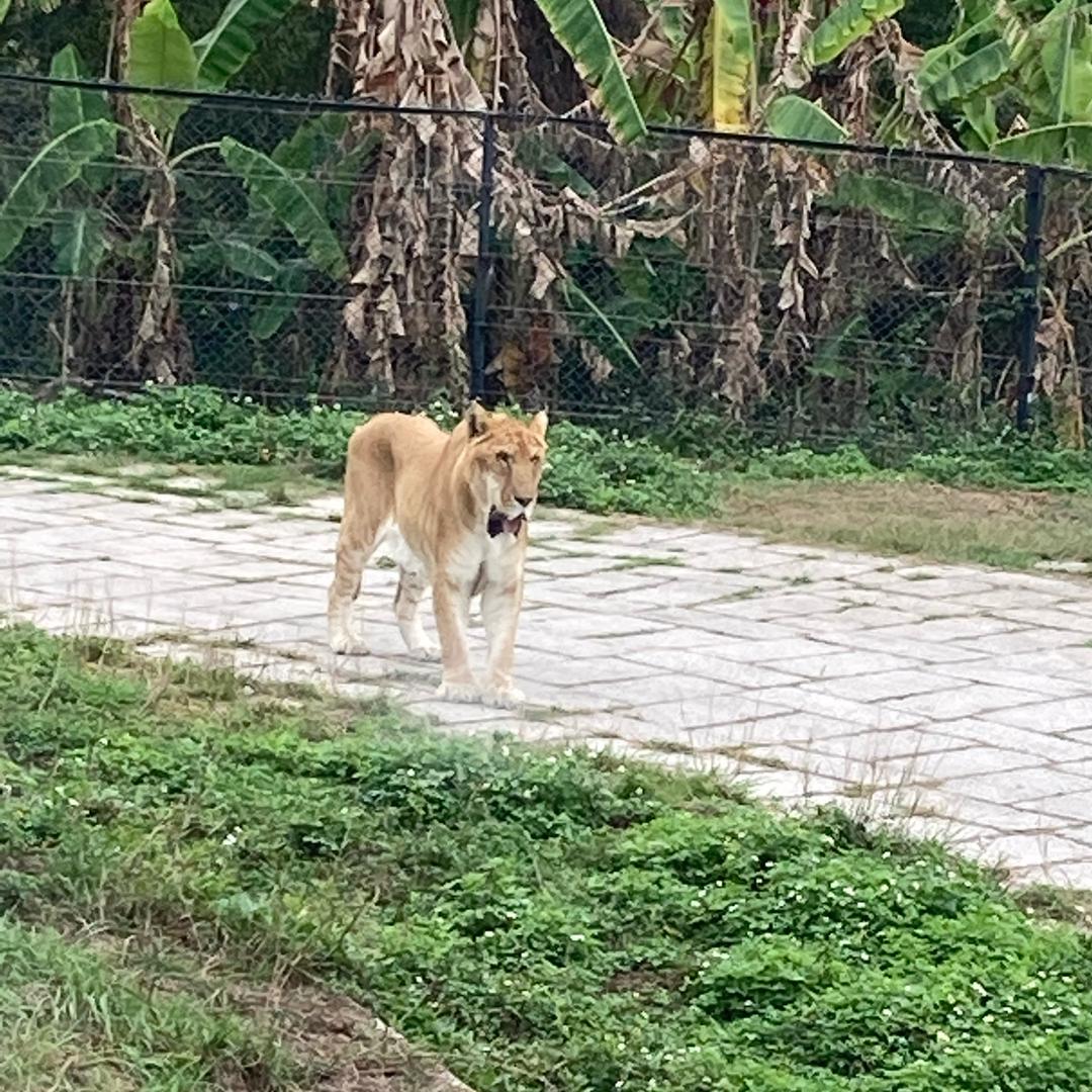 阳光男孩☀️🌴