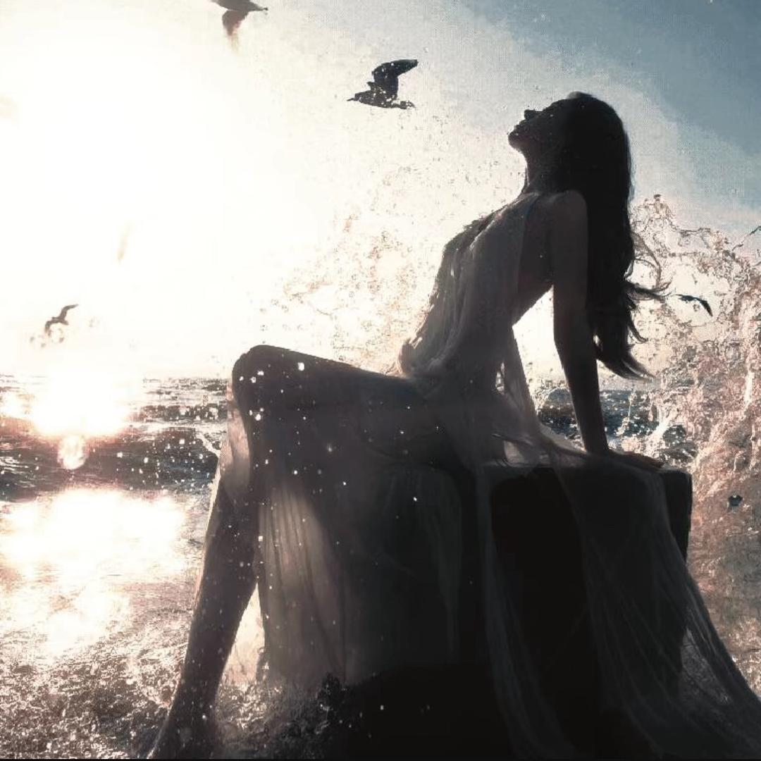 番茄不爱吃西红柿