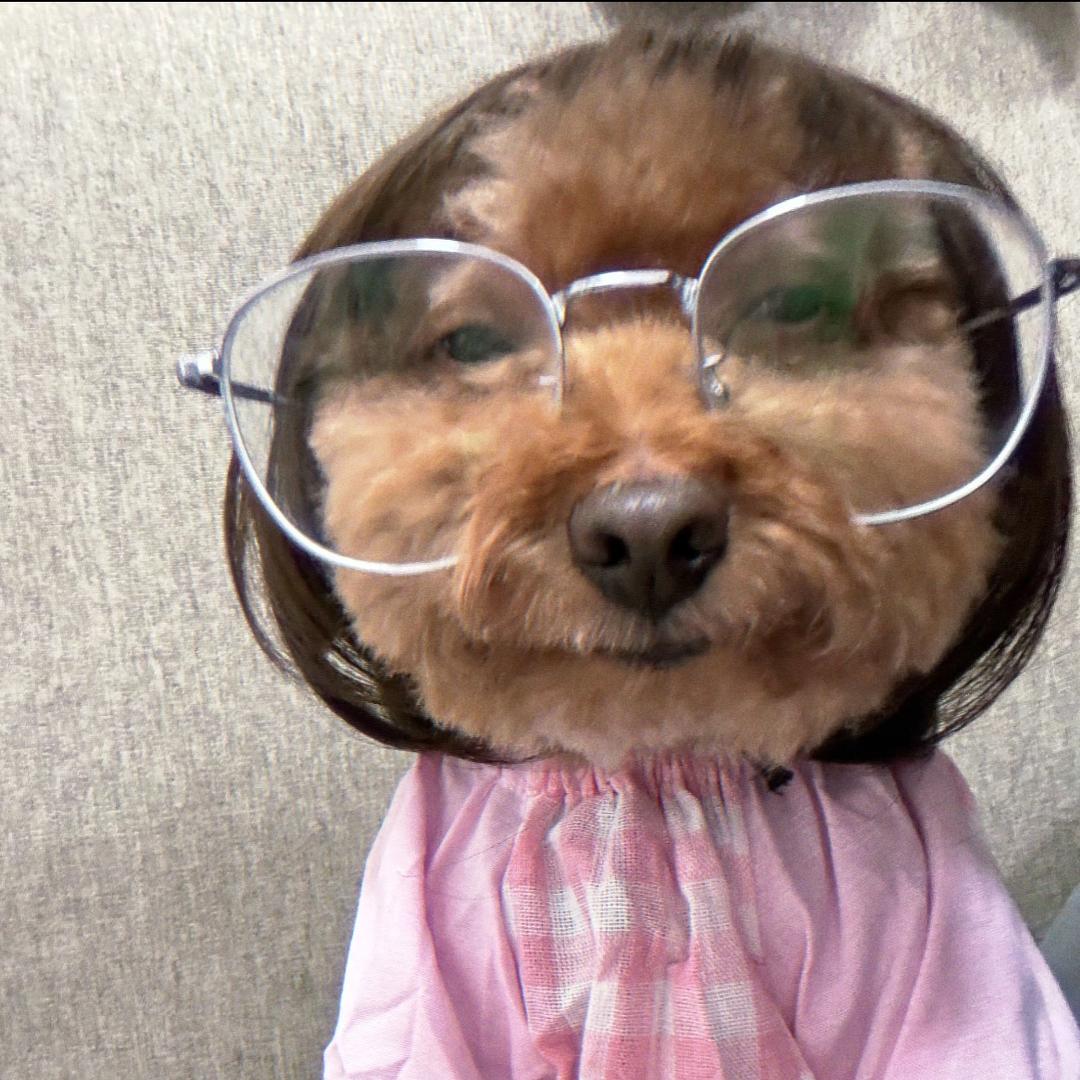 夹心小狗𖦹.𖦹