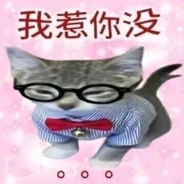 07楚男离婚带两娃