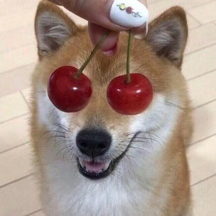 昊哲