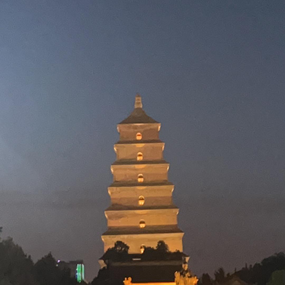 一帘幽梦🌟