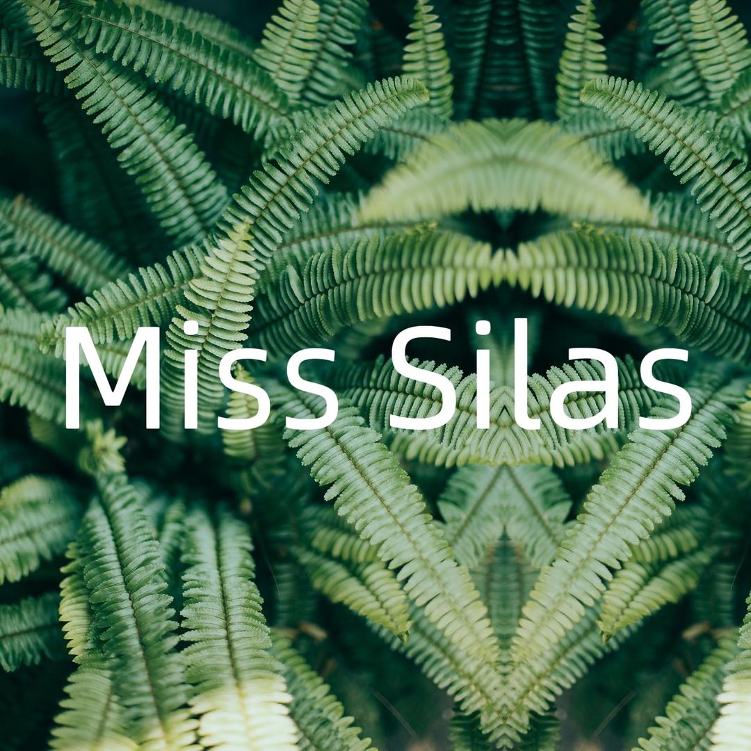 Miss Silas轻奢品牌店
