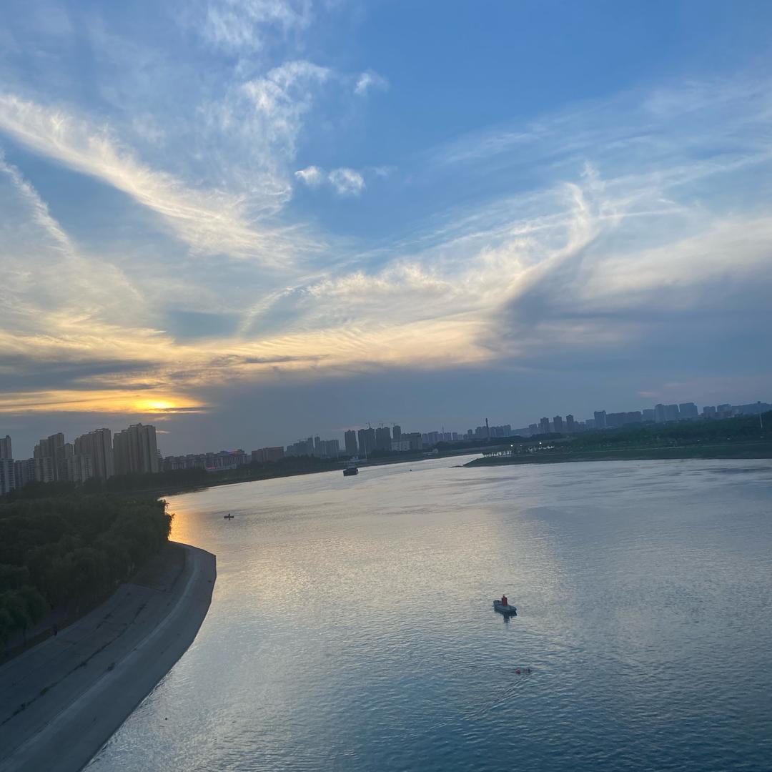 虎子橱窗