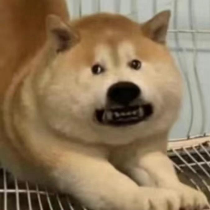 芝芝大王