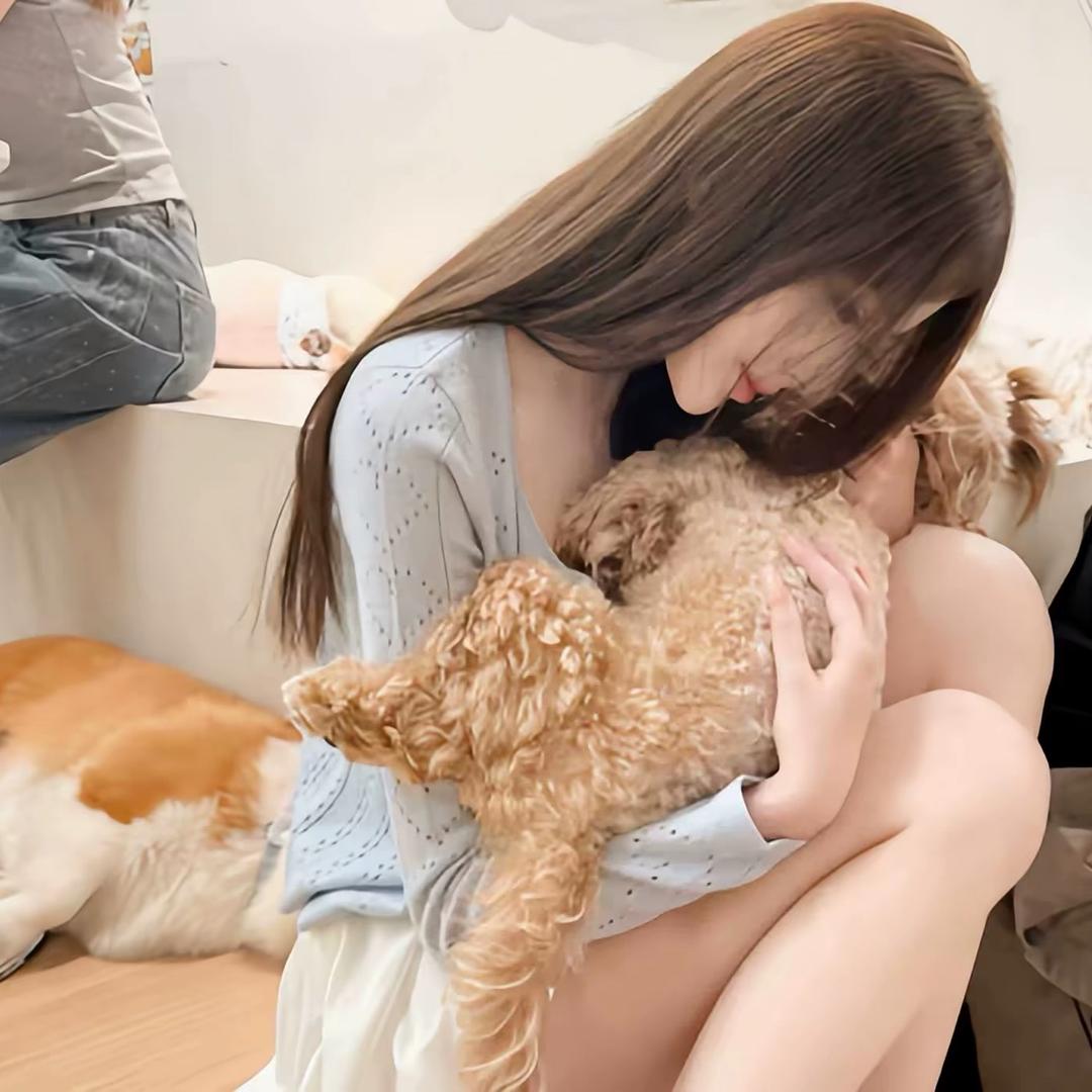 萌主