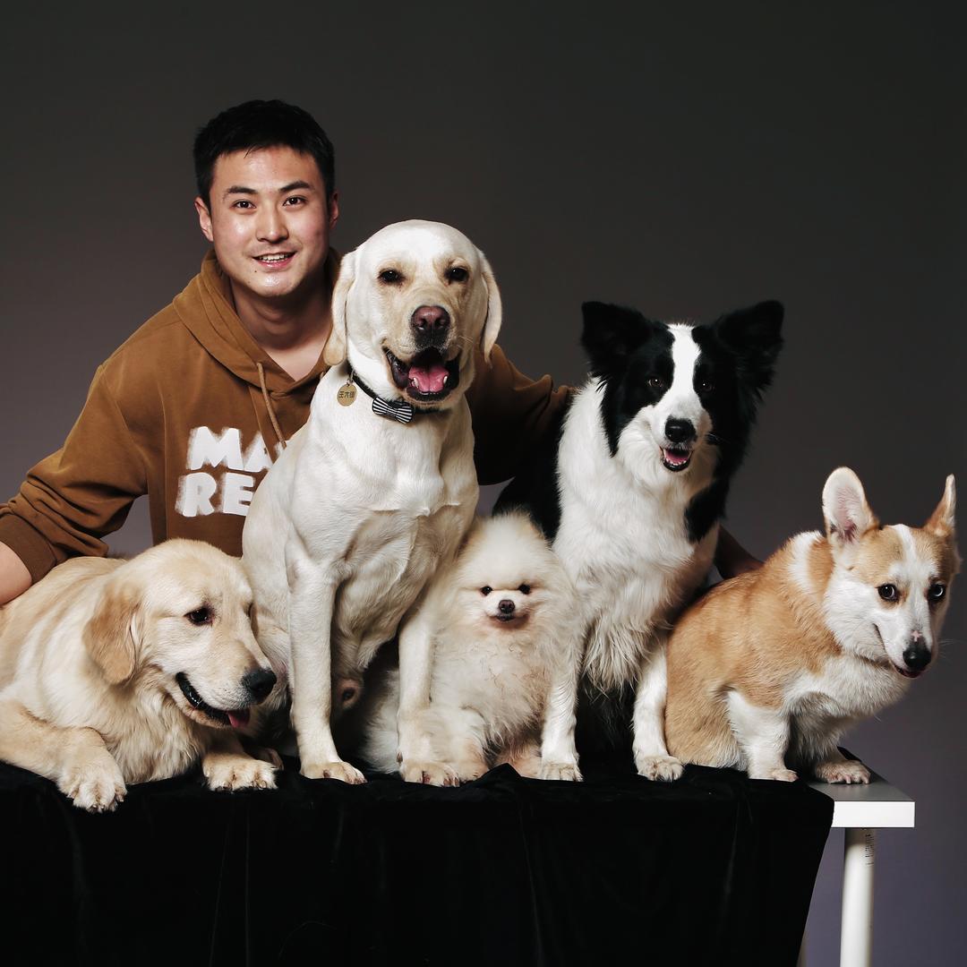 阿哲训犬