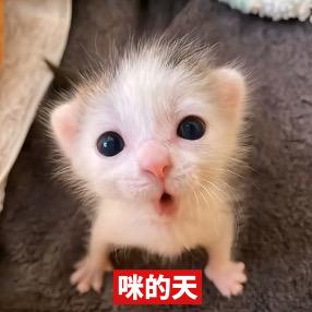 额